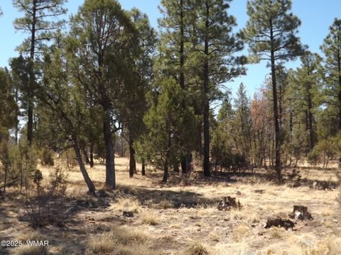 Tiny photo for 0004Y Parcel 1 Section 31, Overgaard, AZ 85933 (MLS # 255097)