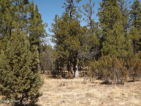 Photo of 0004Y Parcel 1 Section 31, Overgaard, AZ 85933 (MLS # 255097)