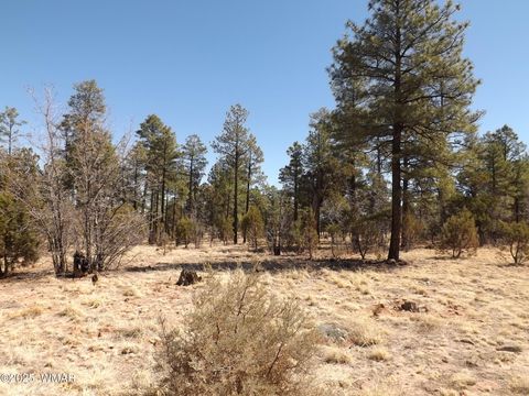Tiny photo for 0004Y Parcel 1 Section 31, Overgaard, AZ 85933 (MLS # 255097)