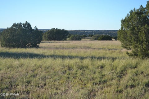 Tiny photo for 207 5525, Concho, AZ 85924 (MLS # 263672)