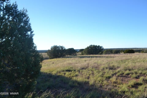 Tiny photo for 207 5525, Concho, AZ 85924 (MLS # 263672)