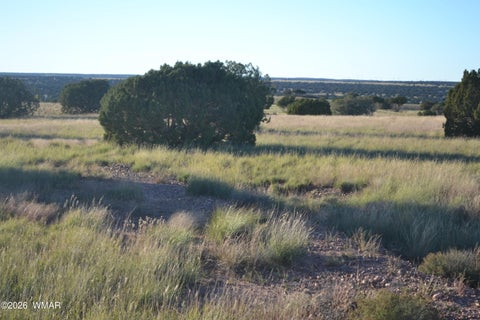 Tiny photo for 207 5525, Concho, AZ 85924 (MLS # 263672)