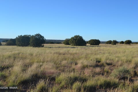 Tiny photo for 207 5525, Concho, AZ 85924 (MLS # 263672)