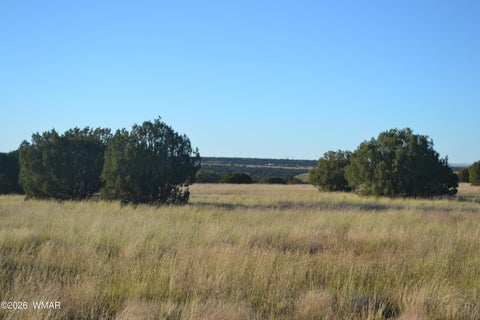 Tiny photo for 207 5525, Concho, AZ 85924 (MLS # 263672)