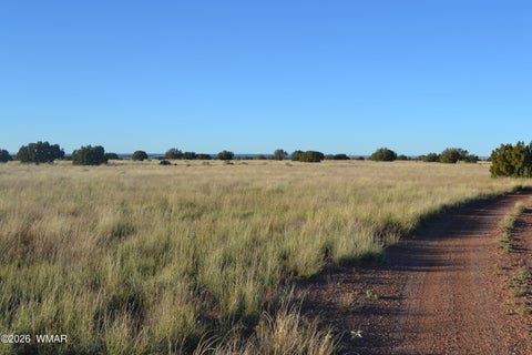 Tiny photo for 207 5525, Concho, AZ 85924 (MLS # 263672)
