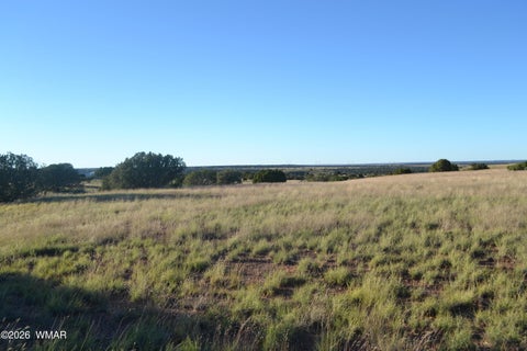 Tiny photo for 207 5525, Concho, AZ 85924 (MLS # 263672)