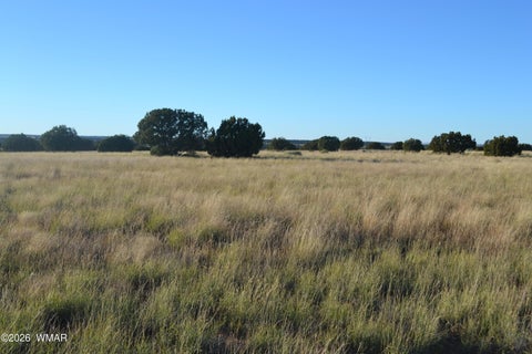 Photo of 207 5525, Concho, AZ 85924 (MLS # 263672)