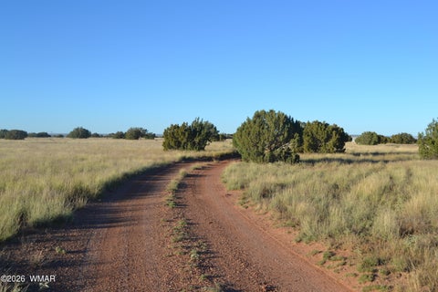Tiny photo for 207 5525, Concho, AZ 85924 (MLS # 263672)