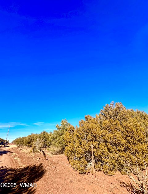 Tiny photo for TBD County Rd N 3314, Vernon, AZ 85940 (MLS # 254161)
