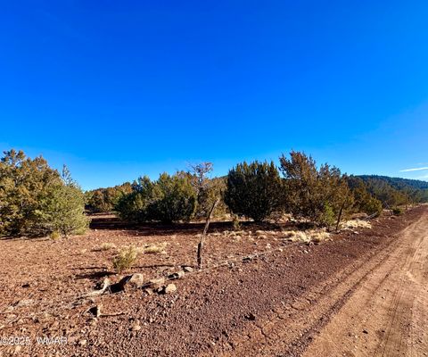 Tiny photo for TBD County Rd N 3314, Vernon, AZ 85940 (MLS # 254161)