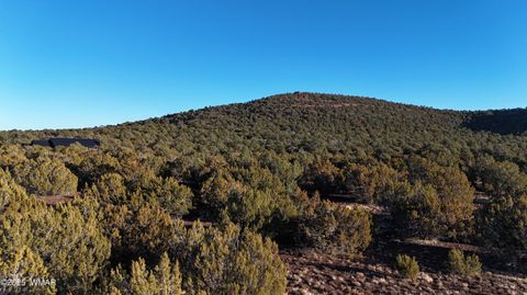Tiny photo for TBD County Rd N 3314, Vernon, AZ 85940 (MLS # 254161)