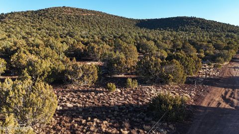 Tiny photo for TBD County Rd N 3314, Vernon, AZ 85940 (MLS # 254161)