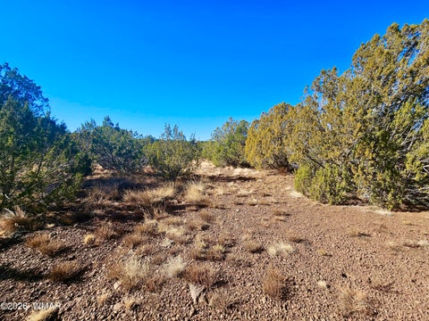 Tiny photo for 29 Co Rd 3199, Vernon, AZ 85940 (MLS # 262629)