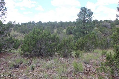 Tiny photo for 29 Co Rd 3199, Vernon, AZ 85940 (MLS # 262629)