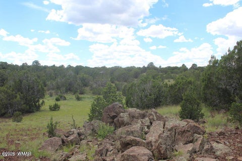 Tiny photo for 29 Co Rd 3199, Vernon, AZ 85940 (MLS # 262629)