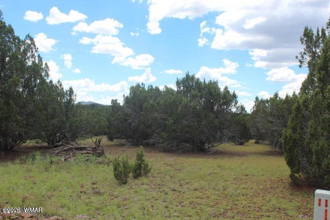Tiny photo for 29 Co Rd 3199, Vernon, AZ 85940 (MLS # 262629)