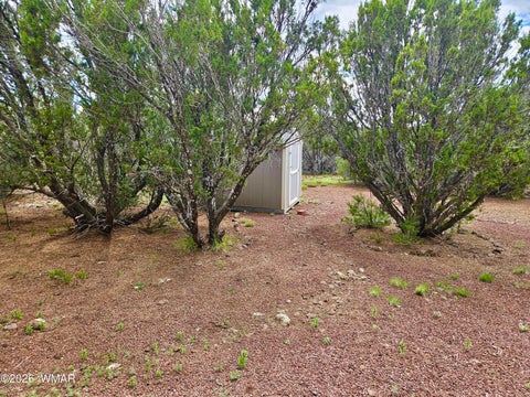 Tiny photo for 29 Co Rd 3199, Vernon, AZ 85940 (MLS # 262629)