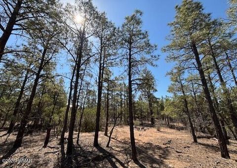 Tiny photo for 181 S Cliffrose Lane, Show Low, AZ 85901 (MLS # 260341)