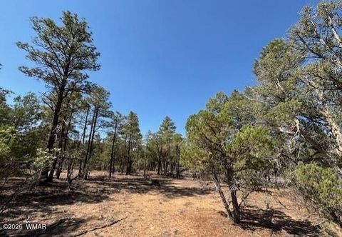 Tiny photo for 181 S Cliffrose Lane, Show Low, AZ 85901 (MLS # 260341)