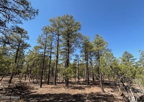 Tiny photo for 181 S Cliffrose Lane, Show Low, AZ 85901 (MLS # 260341)