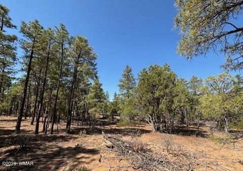 Tiny photo for 181 S Cliffrose Lane, Show Low, AZ 85901 (MLS # 260341)