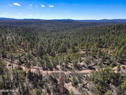 Tiny photo for 3350 W Rim Road Parcel #2, Lakeside, AZ 85929 (MLS # 258381)