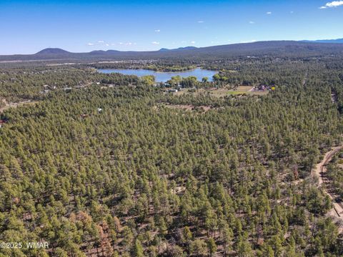 Photo of 3350 W Rim Road Parcel #2, Lakeside, AZ 85929 (MLS # 258381)