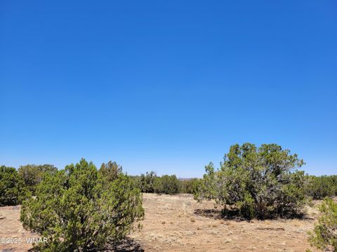 Tiny photo for 8442 Lake Ridge Road, Show Low, AZ 85901 (MLS # 256918)