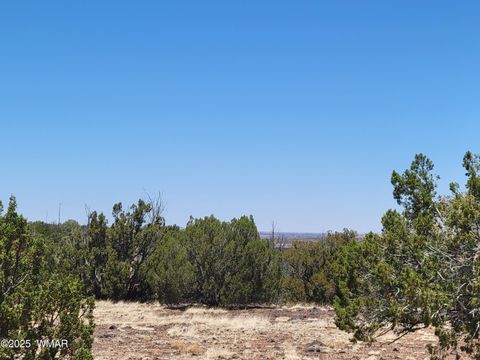 Photo of 8442 Lake Ridge Road, Show Low, AZ 85901 (MLS # 256918)