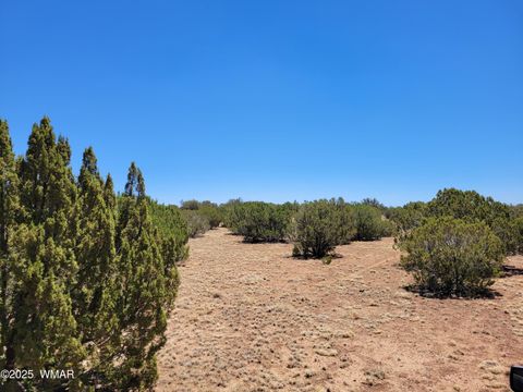 Tiny photo for 8442 Lake Ridge Road, Show Low, AZ 85901 (MLS # 256918)