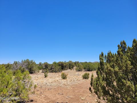 Tiny photo for 8442 Lake Ridge Road, Show Low, AZ 85901 (MLS # 256918)