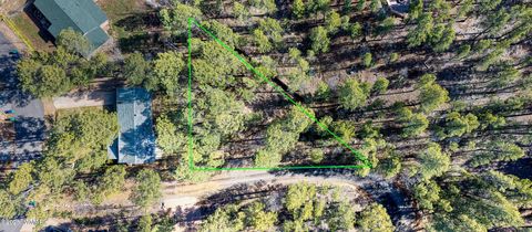 Tiny photo for TBD APN 309-49-165, Show Low, AZ 85901 (MLS # 259831)