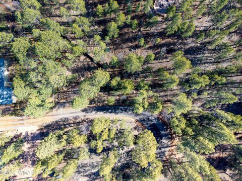 Tiny photo for TBD APN 309-49-165, Show Low, AZ 85901 (MLS # 259831)