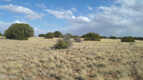 Tiny photo for TBD Heber Unsubdivided, Heber, AZ 85928 (MLS # 254839)