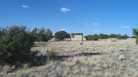 Tiny photo for TBD Heber Unsubdivided, Heber, AZ 85928 (MLS # 254839)