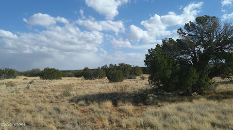 Tiny photo for TBD Heber Unsubdivided, Heber, AZ 85928 (MLS # 254839)