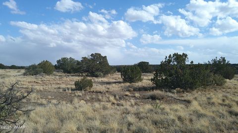 Tiny photo for TBD Heber Unsubdivided, Heber, AZ 85928 (MLS # 254839)