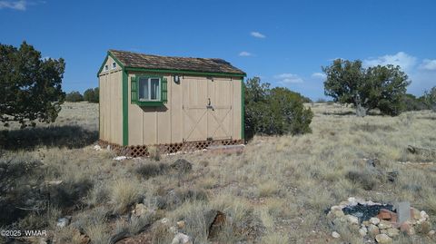Tiny photo for TBD Heber Unsubdivided, Heber, AZ 85928 (MLS # 254839)