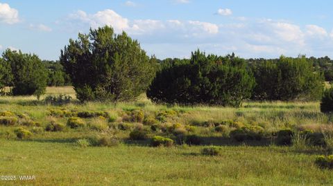 Tiny photo for TBD Heber Unsubdivided, Heber, AZ 85928 (MLS # 254839)