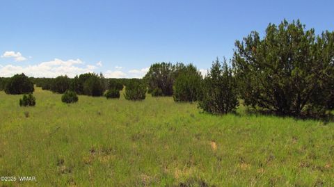 Tiny photo for TBD Heber Unsubdivided, Heber, AZ 85928 (MLS # 254839)