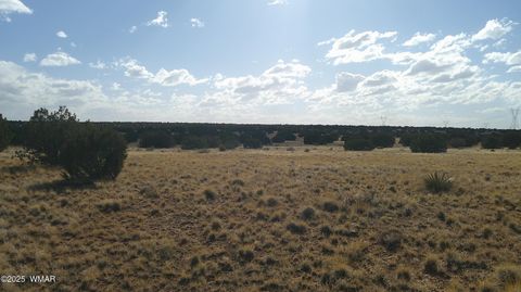 Tiny photo for TBD Heber Unsubdivided, Heber, AZ 85928 (MLS # 254839)