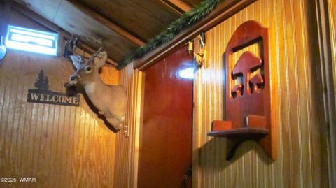 Tiny photo for TBD Heber Unsubdivided, Heber, AZ 85928 (MLS # 254839)