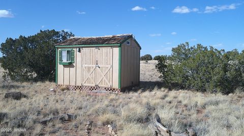 Tiny photo for TBD Heber Unsubdivided, Heber, AZ 85928 (MLS # 254839)