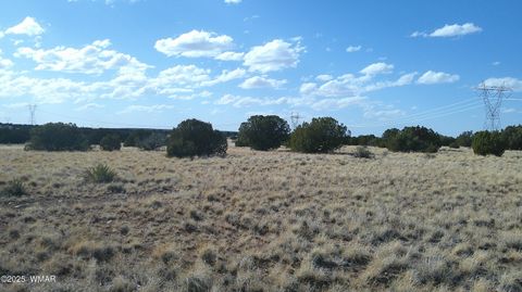 Tiny photo for TBD Heber Unsubdivided, Heber, AZ 85928 (MLS # 254839)