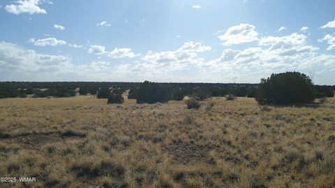 Tiny photo for TBD Heber Unsubdivided, Heber, AZ 85928 (MLS # 254839)