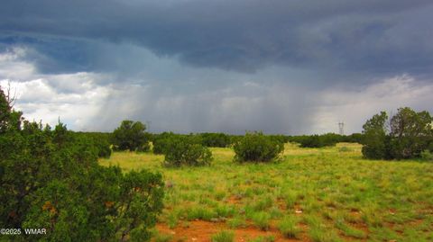 Tiny photo for TBD Heber Unsubdivided, Heber, AZ 85928 (MLS # 254839)