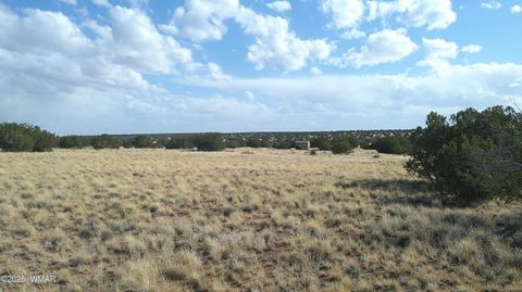 Tiny photo for TBD Heber Unsubdivided, Heber, AZ 85928 (MLS # 254839)