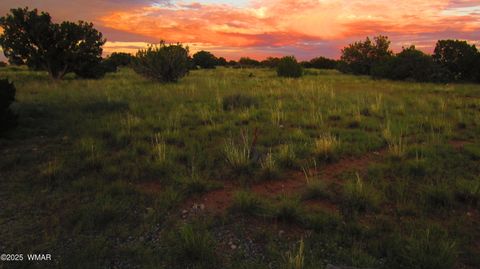 Tiny photo for TBD Heber Unsubdivided, Heber, AZ 85928 (MLS # 254839)