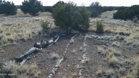 Tiny photo for TBD Heber Unsubdivided, Heber, AZ 85928 (MLS # 254839)