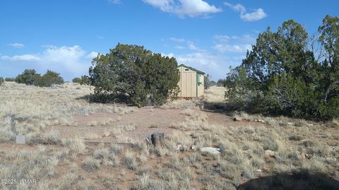 Tiny photo for TBD Heber Unsubdivided, Heber, AZ 85928 (MLS # 254839)